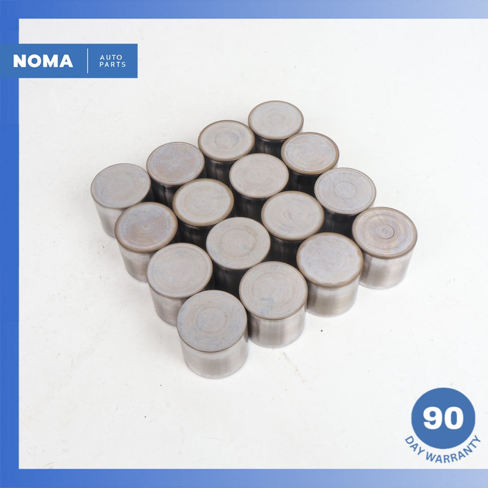 2013 LR Range Rover Evoque L538 Intake & Exhaust Camshaft Lifter Tappet Set OEM