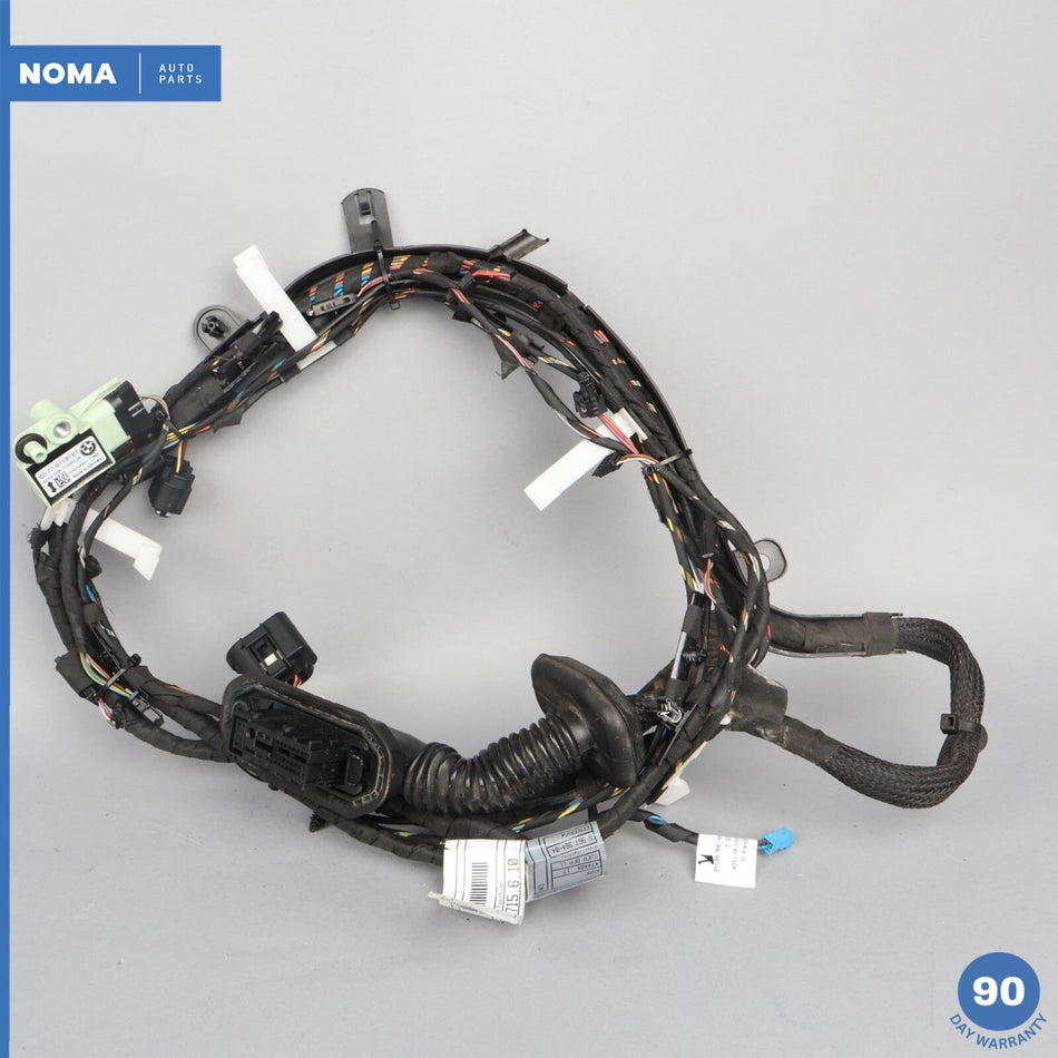 06-10 BMW 650i E63 E64 Front Right Passenger Side Door Wire Wiring Harness OEM