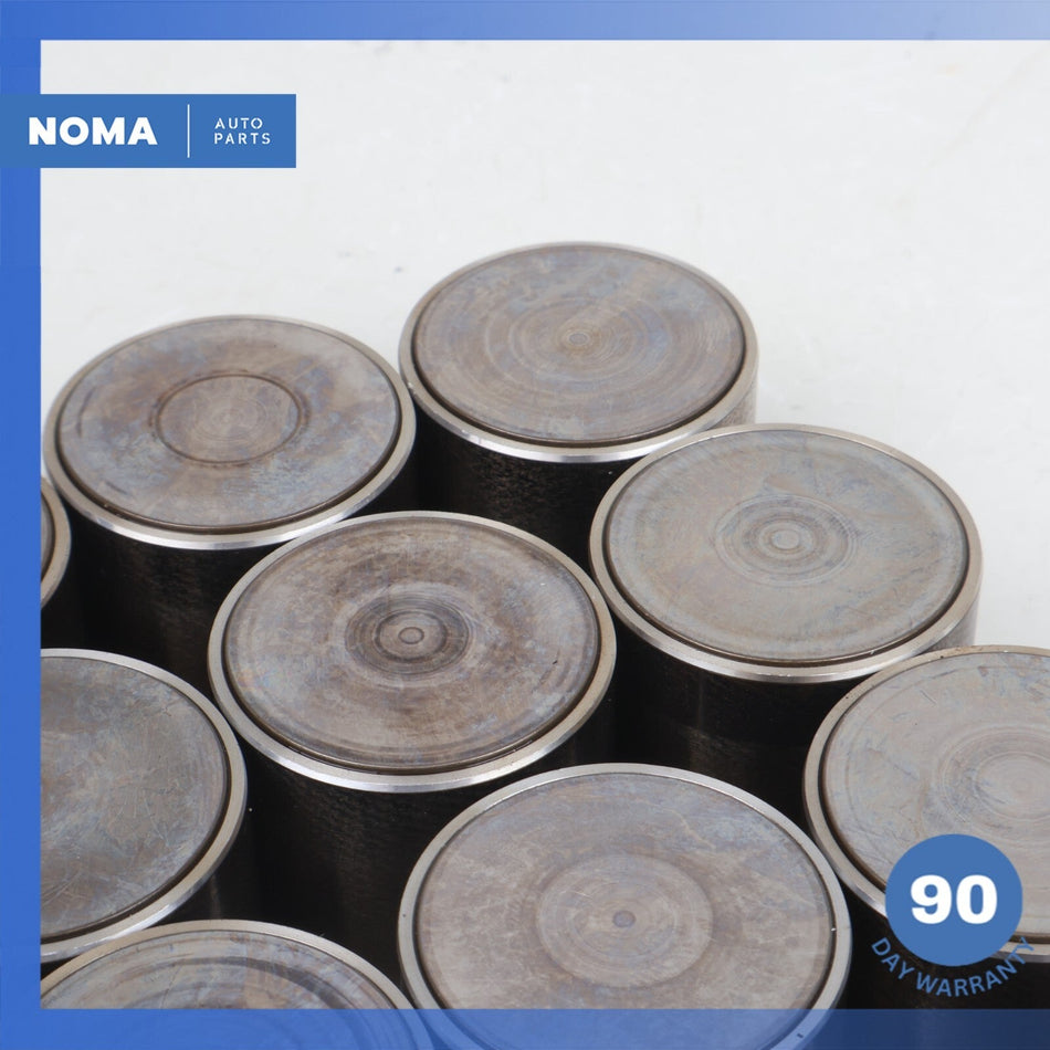 98-10 Jaguar X100 XK8 XK XF Intake & Exhaust Camshaft Lifter Tappet Set OEM