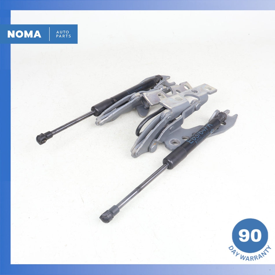 04-10 BMW E64 650i 645i Left & Right Hood Bonnet Hinge Strut Set of 2 OEM
