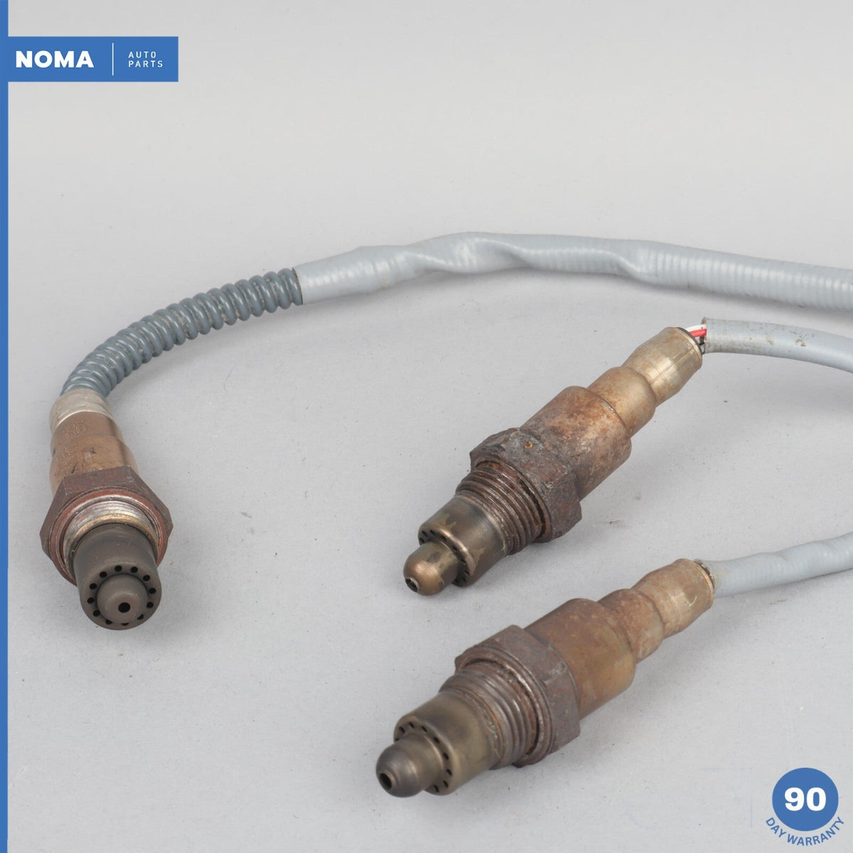 44269282-a6c9-4999-a2f8-a5b9a02cbd24