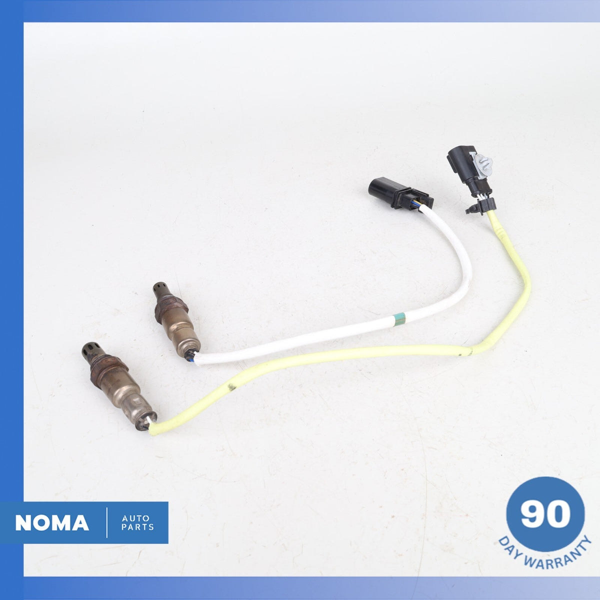 c77e4b73-b6c7-4a77-b18a-4bc922c371da